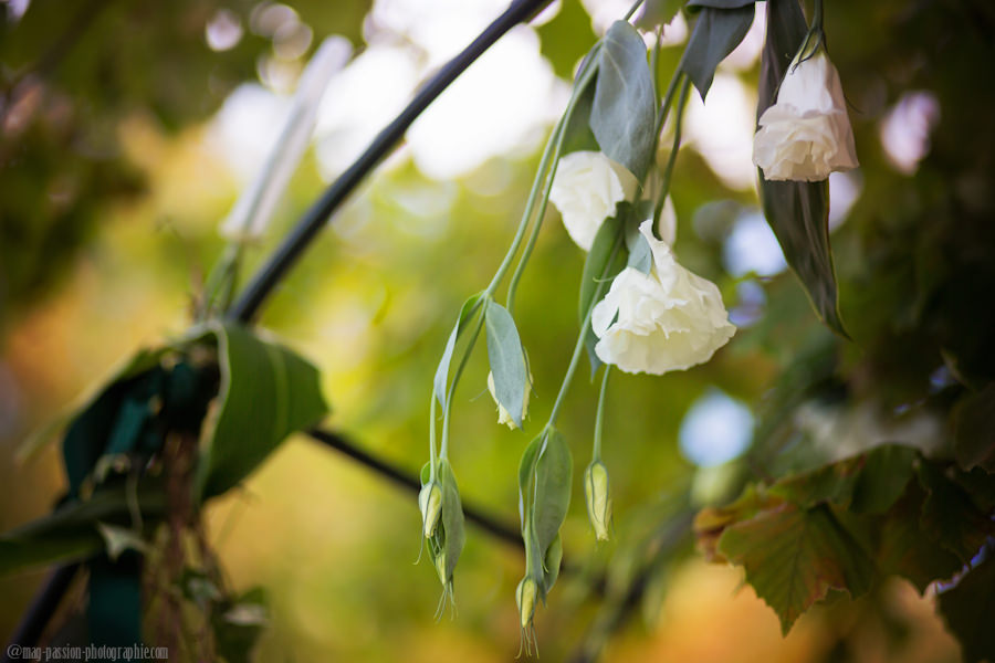 Mon instant Mag Passion Photographie-76